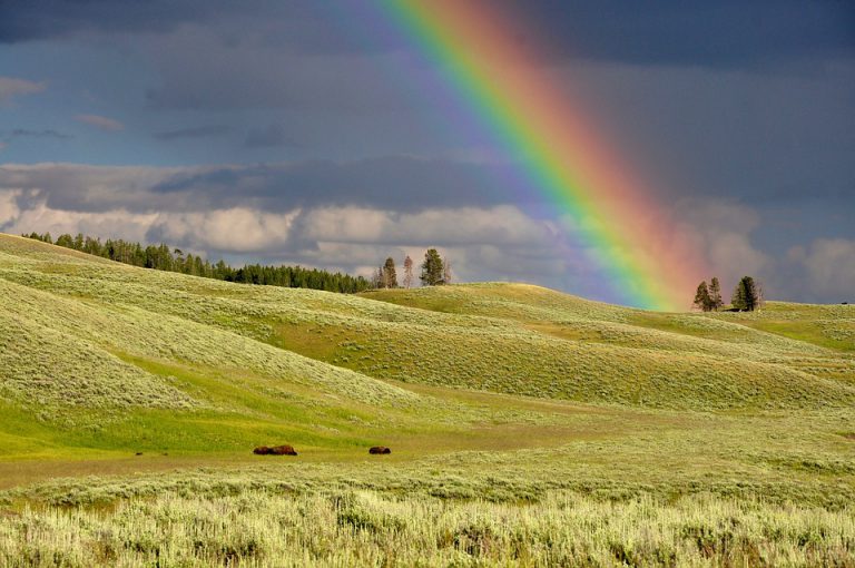 虹について詳しくご存知ですか？